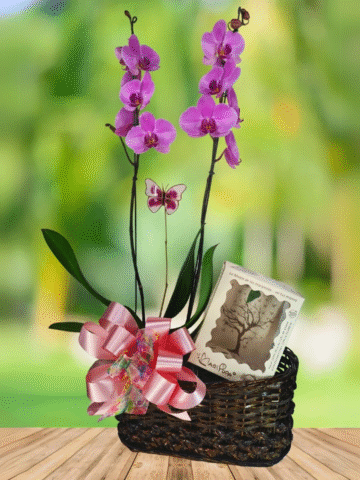 Celebración con alas