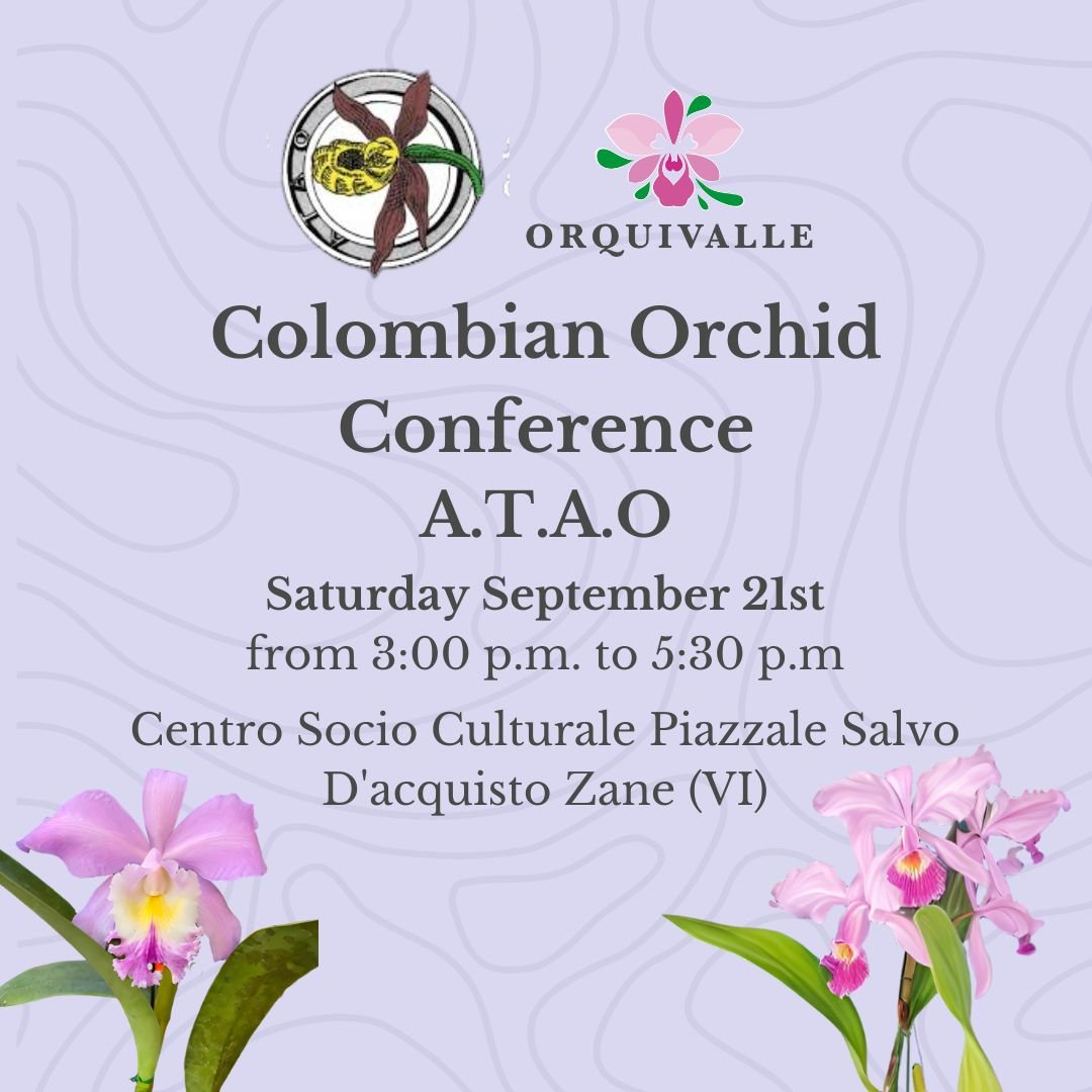 Cattleya colombiane ed ibridi primari/Exportación de orquídeas a Europa